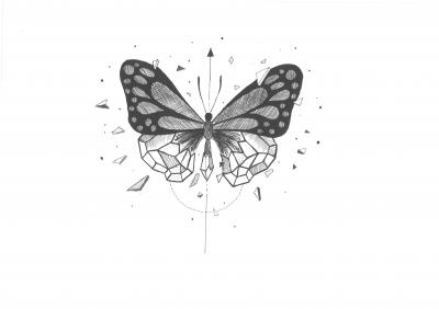 Křídla motýla