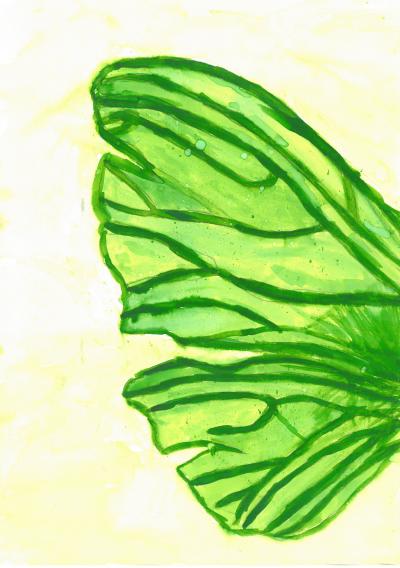 Zelené křídlo