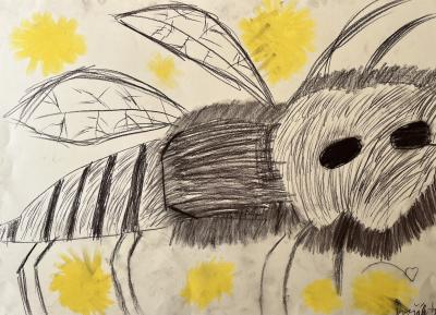 Na křídlech včel
