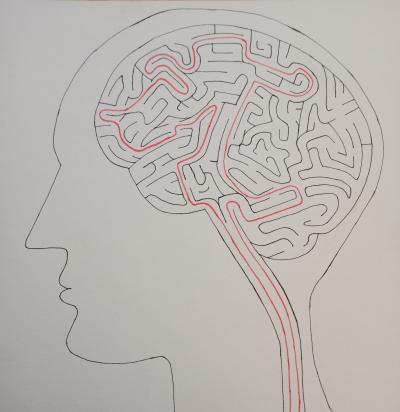 Labyrint v mozku