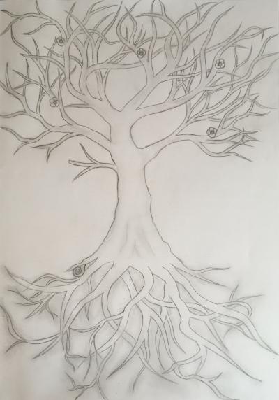 Tajemství Stromu