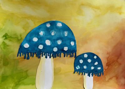 Magické houby