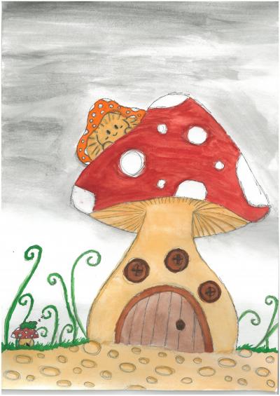 Tajemství kouzelné houby