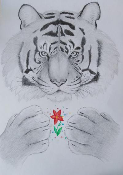 Kouzlo tygra
