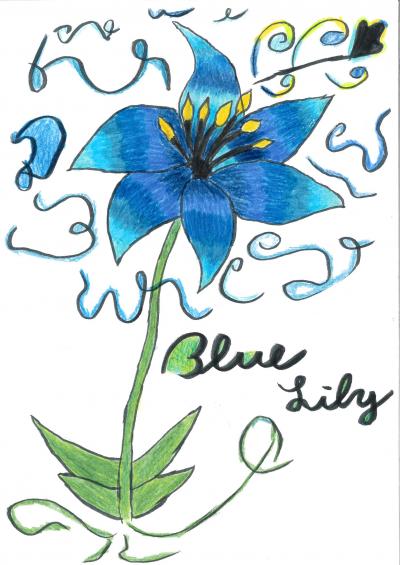 Blue lily