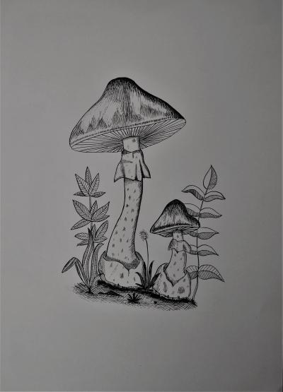 Kouzelné houby