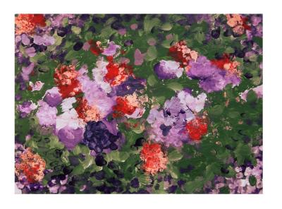 Květy  Clauda Moneta