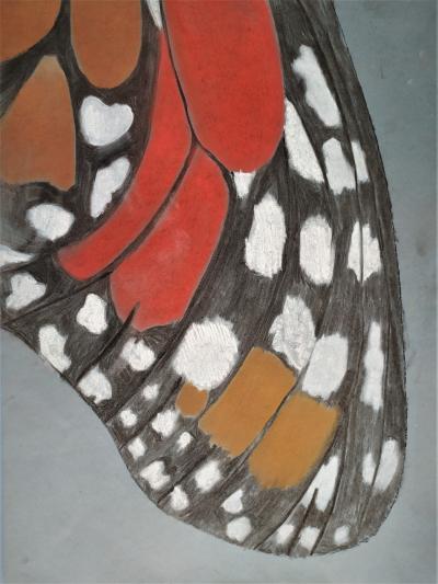 Detail křídla
