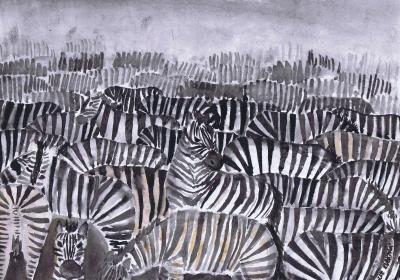 Hledá se zebra