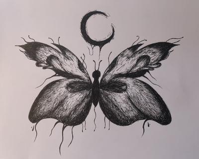 Noční Motýl